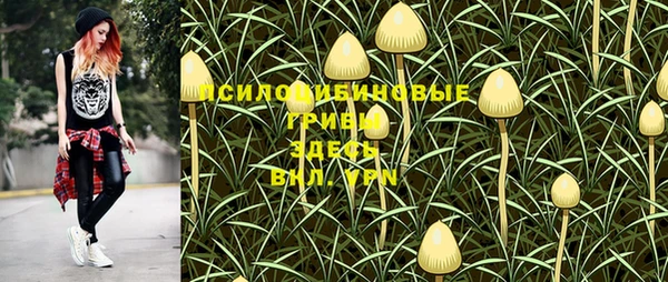 a pvp Михайловск