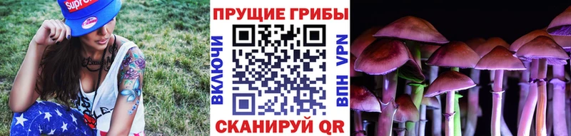 Псилоцибиновые грибы GOLDEN TEACHER  mega   Орёл 