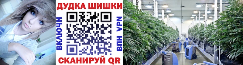 Бошки марихуана Ganja Орёл